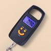 Baijie Portable Digital Luggage Scale