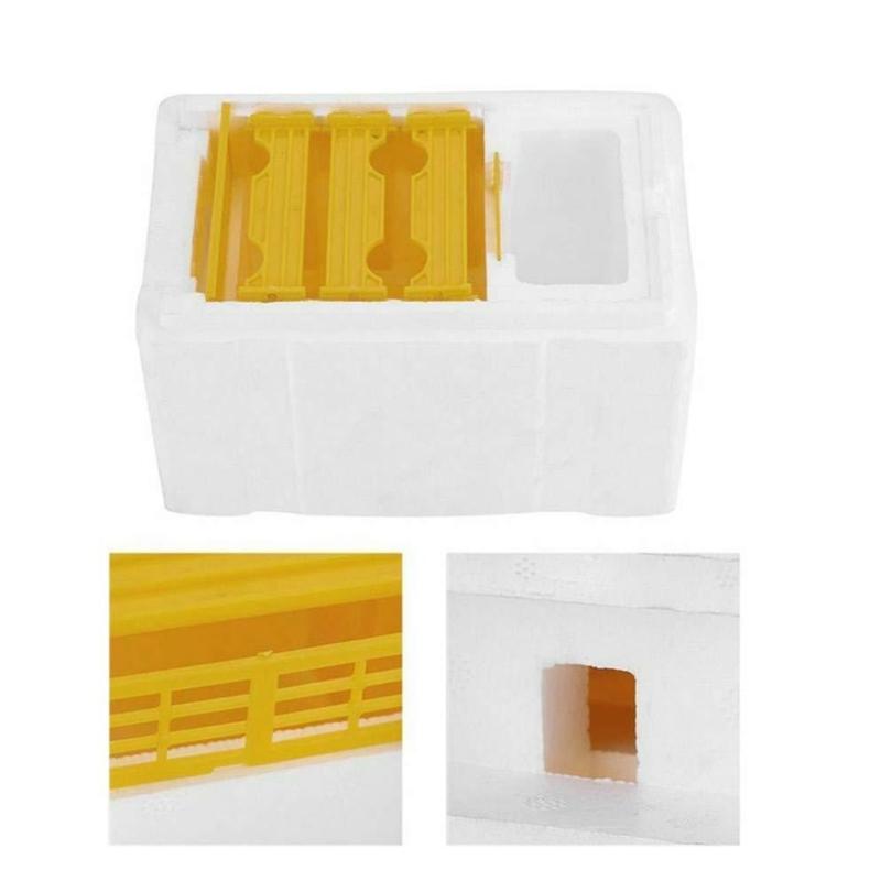 Foam Hive Bees Mating Box Beekeeping Tool Sturdy Accessories Professional Practical Foam Bees Breeding Box Development