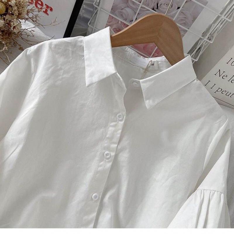 Women's Lantern Puff Sleeve Shirt - Spring, Summer, Autumn, Winter Design In Petite Fashion