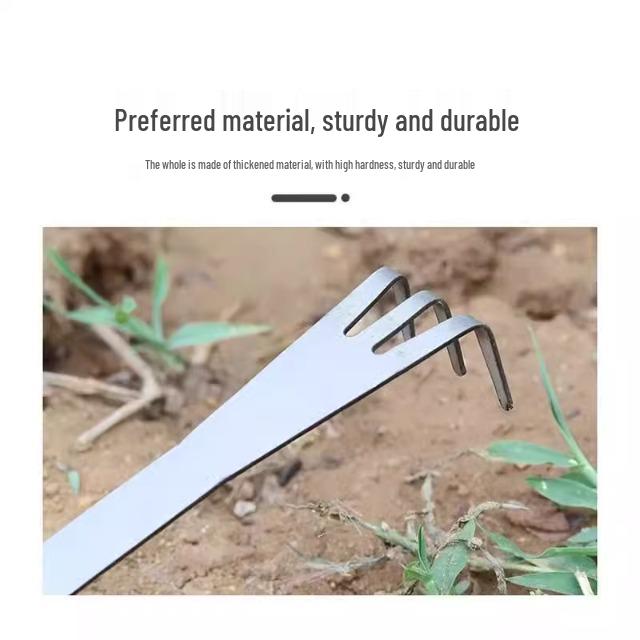 Dual-Headed Stainless Steel Bonsai Rake for Soil Loosening & Bud Picking in Flower Pots