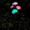 Garden Solar Rose Light Outdoor with Solar Faux Roses Lights Color Changing