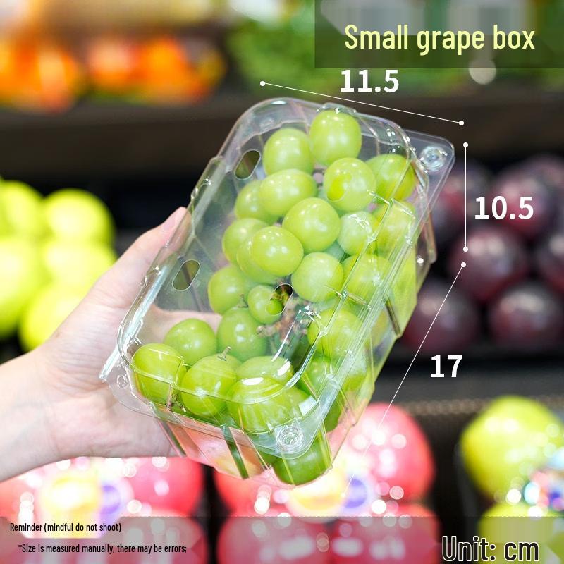 Handun Disposable Round Fruit Container