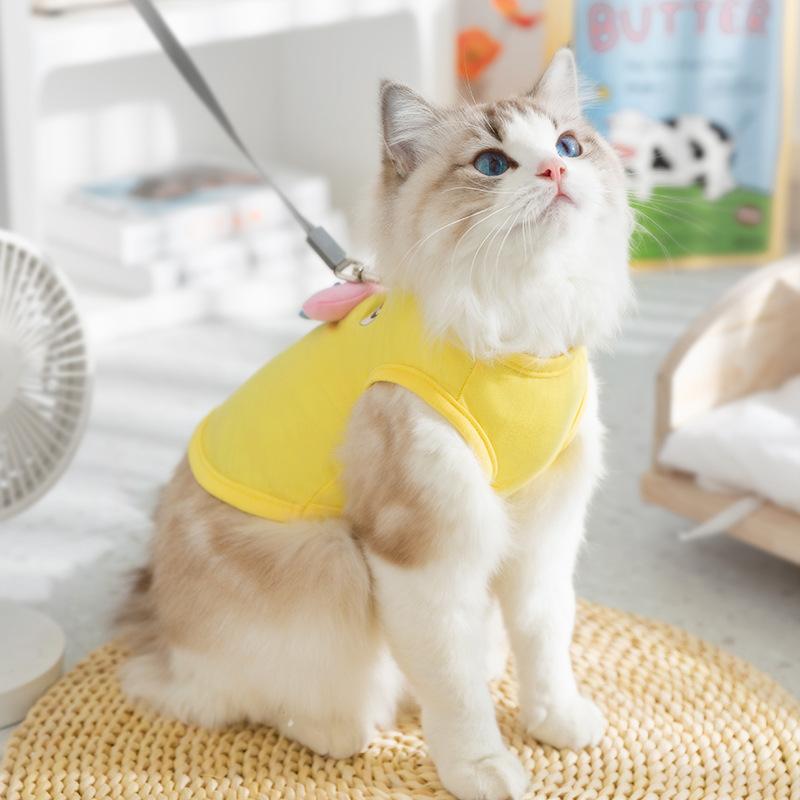 Katzenrotz Schwein Traktion Frühling Sommer Dünne Atmungsaktive Weste Hund Teddy Pomeranian Niedliches Haustier Katze Kleidung