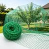 Plasă Verde Rezistentă pentru Păsări, Plasă de Grădină pentru Protecția Pomilor Fructiferi: Rezistent la UV, Rezistent la îngheț, Reutilizabil, Disponibil în mai multe dimensiuni