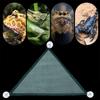 Hanging Pet Accessories Elastic Bearded Dragon Hammock Lizard Bed Reptile Habitat Bird Ladder