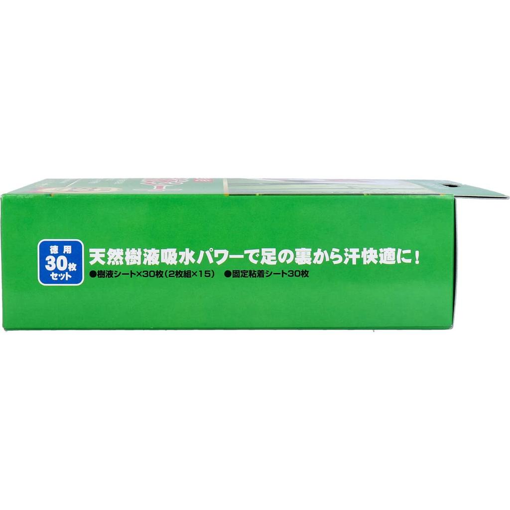 NEUE lebhafte Saftblätter 30 Stück x 3er-Pack