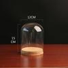 Dustproof Glass Cover for Preserved Flower Display, Clay Figures & Felt Dolls