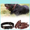 Collier Classique en Cuir pour Chien avec Boucle en Laiton Vintage pour Chiens de Taille Moyenne à Grande