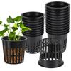 3pcs Grow Orchids Wide Lip Hydroponics Cups Planting Mesh Pot Soilless Net Basket Slotted Container Colonization Black 3 Inch