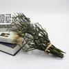 3pcs Artificial Plant Simulation Coral Branch Wedding Party Decoration DIY Accessories Small Tree Branches Christmas Decor