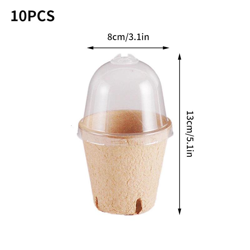 10KS Hrnek na sazenice s víkem Ovoce Zelenina Klíčení semen Hrnek do školky Hrnce na pěstování sazenic Biologicky odbouratelné Jednorázové