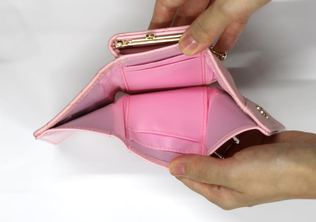 Aldi Clasp Wallet, Hello Kitty, Pink, HK83-2PK