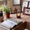 NuWind Portable Wireless Charging Table Lamp & Night Light