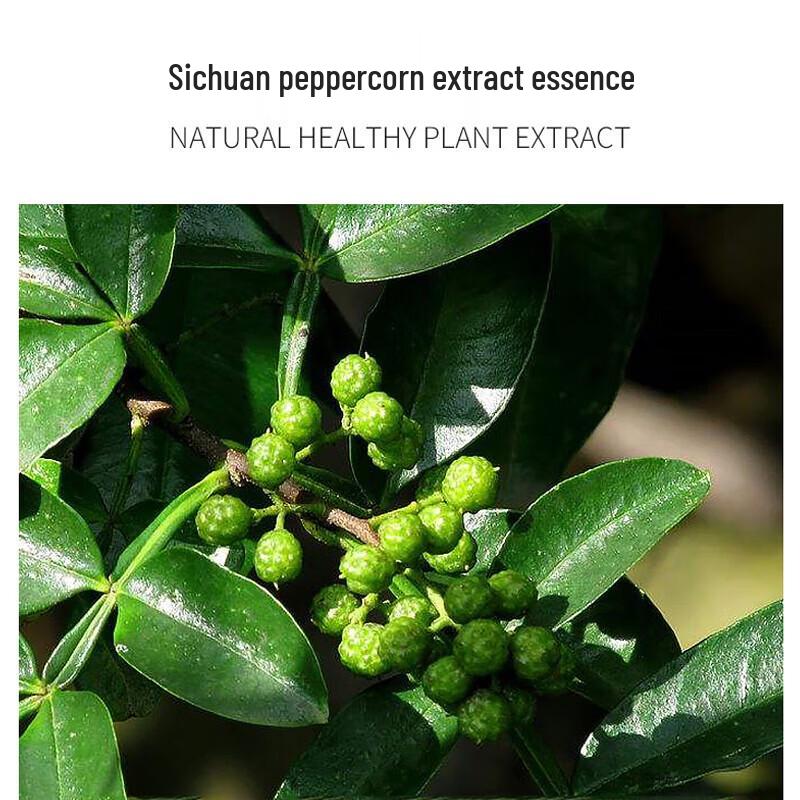 Manting Prickly Ash Scalp Care Shampoo