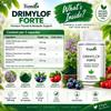 Yvonika Drimylof Forte – Premium Thyroid & Metabolic Support, 90 Capsules