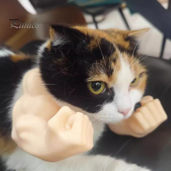 Kreative Katzen-Geburtstagsparty-Geschenke Lustige Muskelarme, Urkomische 3D-gedruckte muskulöse leichte Foto-Requisiten Schulterbefestigung für Katzen