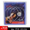 Corde per Violino in Nylon Alice Set Completo A708 A747 A703 - Livello Esame e Performance