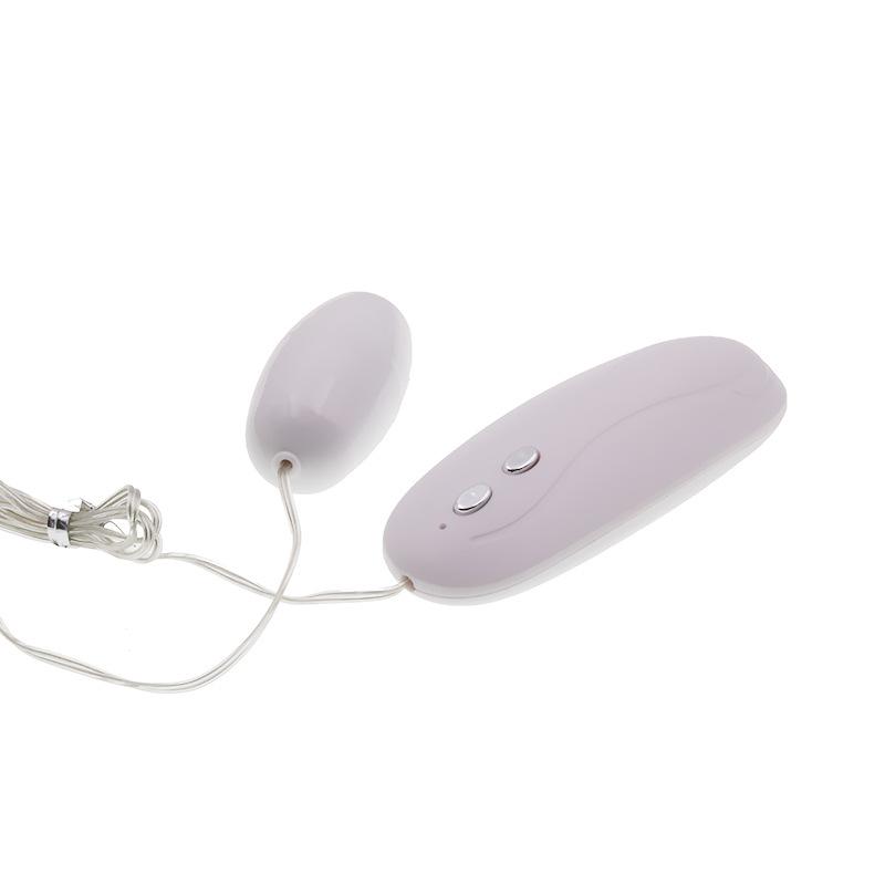 Vibrator 12-Frequency Vibration Female Masturbation Tool Couple Training Teasing SM Adult Supplies Sex Toy Products