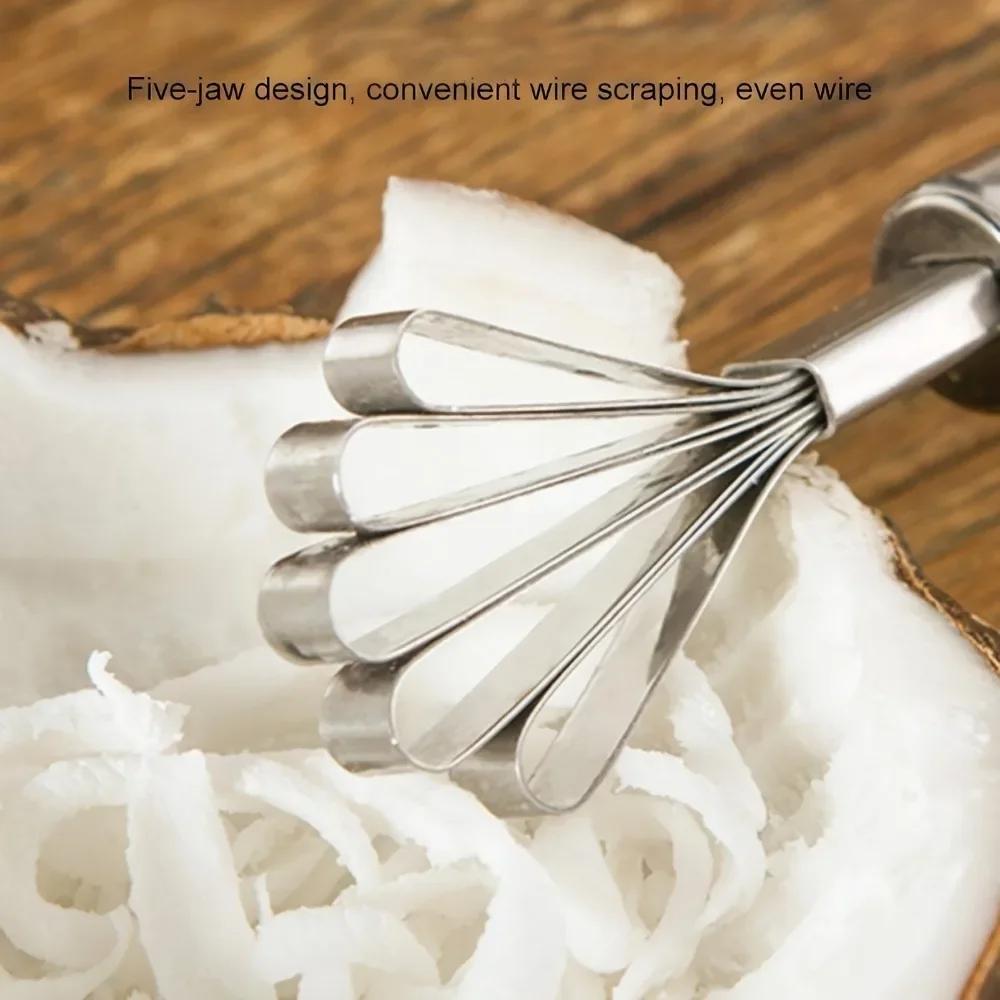 Stainless Steel Coconut Shredder Melon and Fruit Seed Remover Coconut Meat Scraper Fish Scale Planer Fruit Spoon Planer