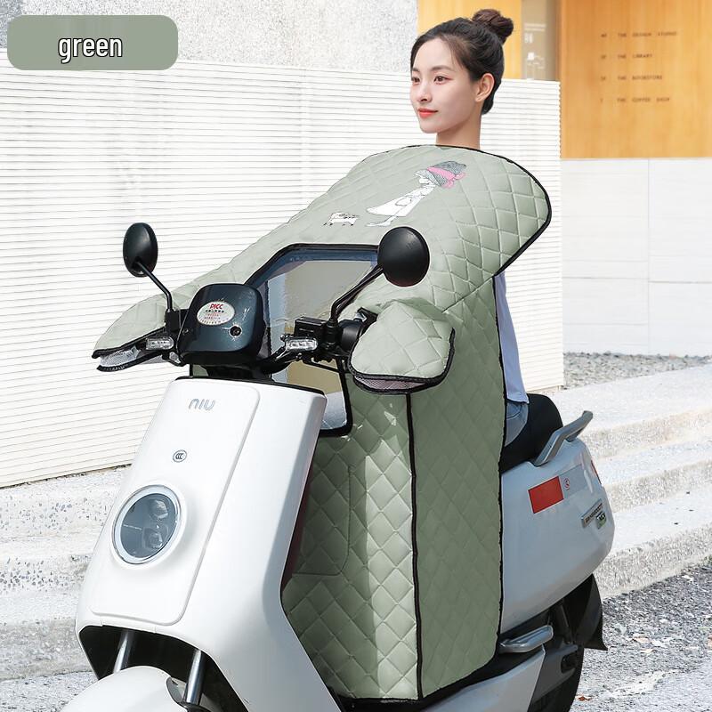 

Children s Electric Bike Weather Shield Child Size