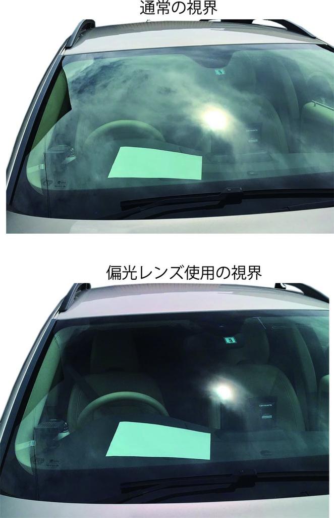 Face Trick Glasses PLOG01 Over Sunglasses, Polarized Lenses, UV Protection, Clear Gray Frame, Clear Gray/Smoke Polarized