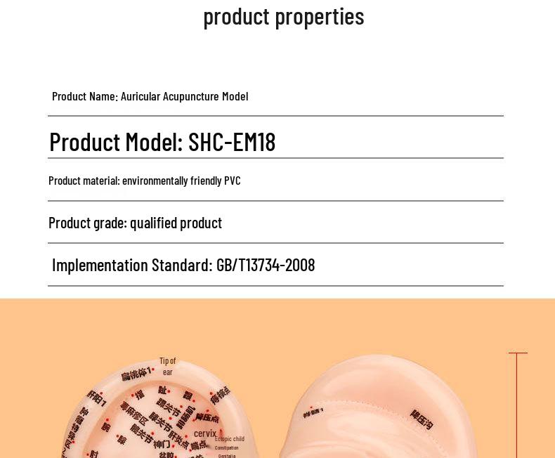 18cm Ear Acupuncture Meridian Model