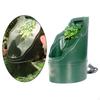 Reptile – Terarii pentru reptile