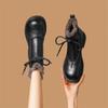 New Style Shoes: Thick-soled Boots, Fleece Boots, Lace-up Snow Boots, and Women's Ankle Boots