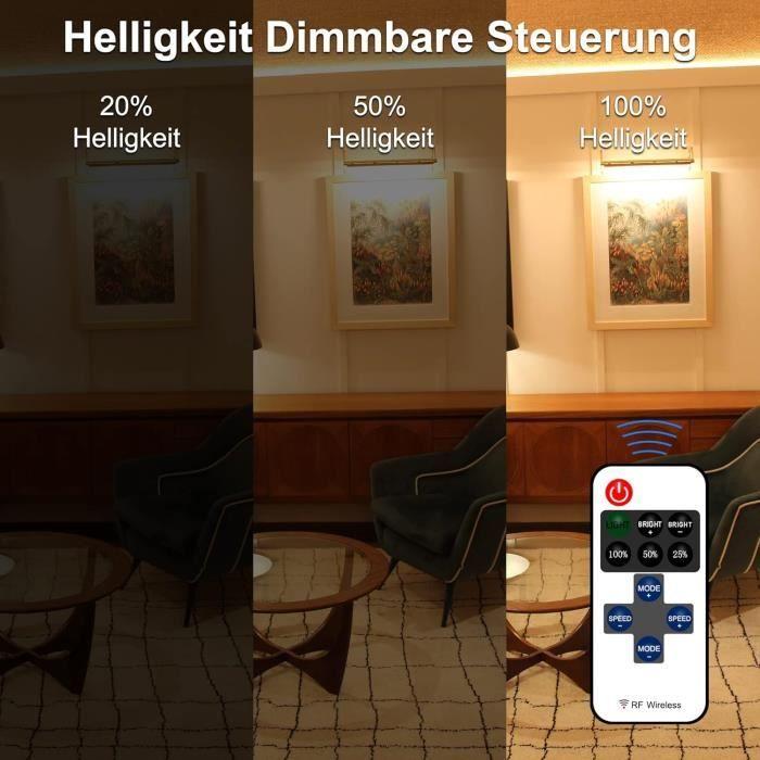 Ruban LED - TTWAY - 5M - Blanc Chaud - Télécommande - Dimmable