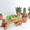 Artificial Driftwood Log Planter Resin Vintage Flower Pot for Home Garden Decoration Desktop Window Sill