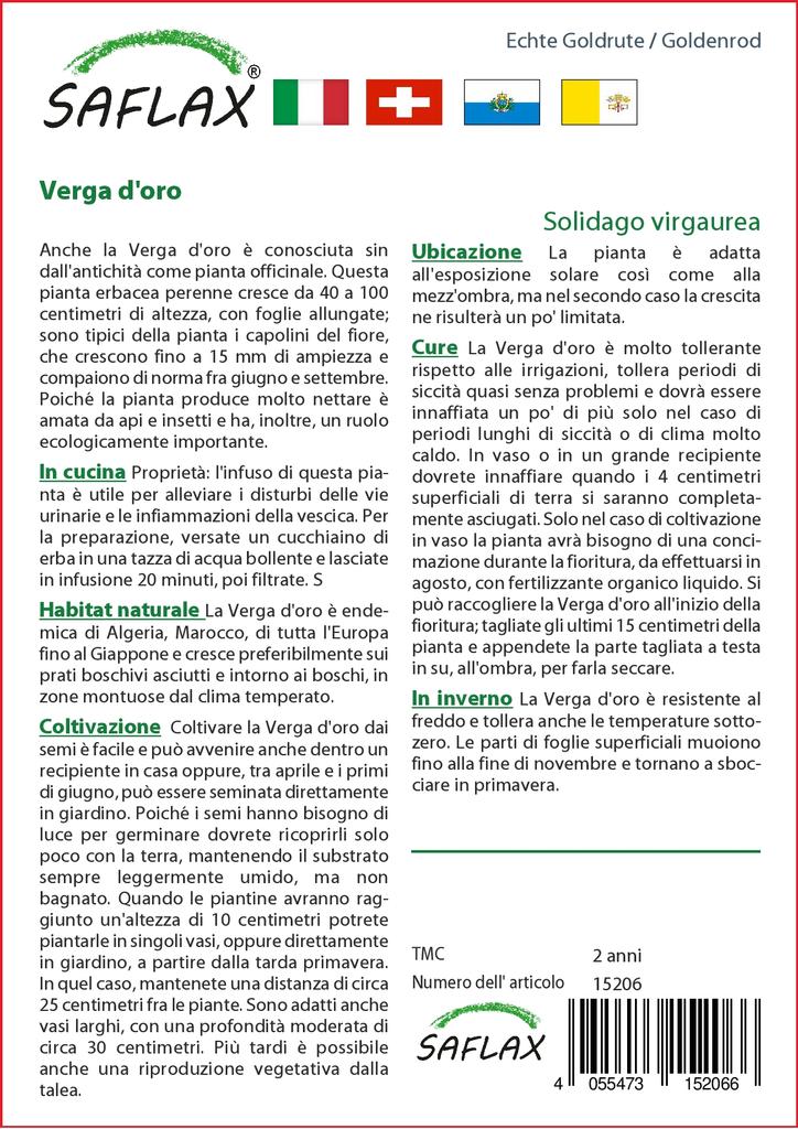 SAFLAX Zahrada v pytli - Zlatobýl - 100 semen - Se substrátem v přiléhavém sáčku - Solidago virgaurea