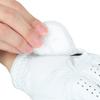 Titleist Professional Golf Glove TG73WT-24 WT White Left Hand 24cm