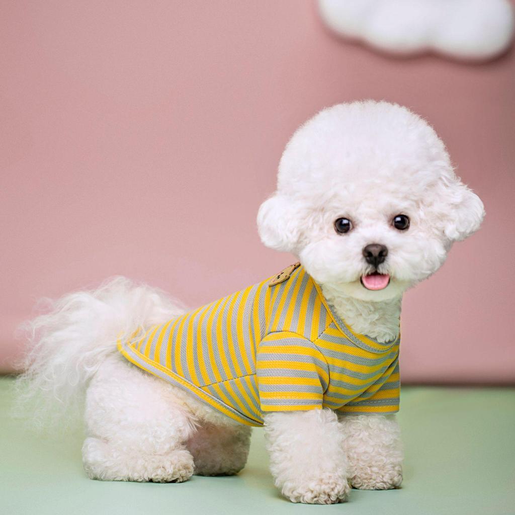 Striped Pet Dog T-Shirt for Small & Medium Breeds - Two-Legged Design, Spring/Summer Collection for Teddy Puppies
