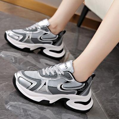 Thick-soled Silver Dad Shoes Women's 2024 New Mesh Breathable Heightening Women's Shoes Retro Fried Street Fashion Sneakers Tide