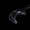 5Pcs Transparent Dental C-Shape Plastic Cheek Retractor Lip Mouth Opener Intraoral Dentist Orthodontic Tool For Tooth Whitening