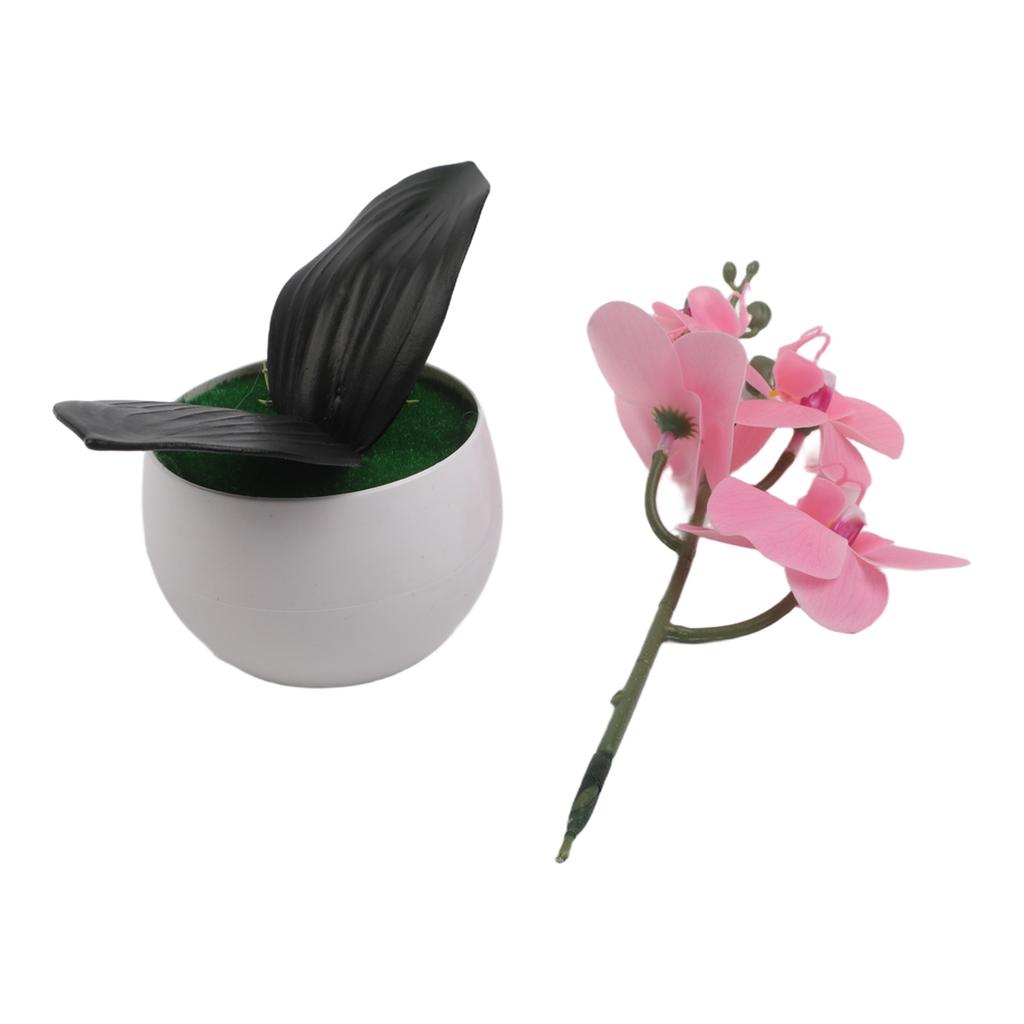 Fake Bonsai Butterfly Orchid Bathroom Decor Butterfly Orchid Bonsai Decoration Pampas Realistic Appearance Low Maintenance