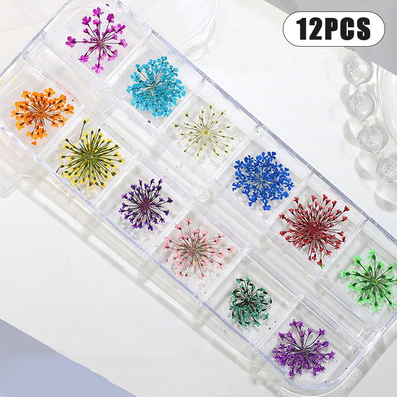 

Цветочное украшение для ногтей, настоящие мини-сушеные цветы, натуральные цветочные наклейки, шармы для ногтей, аксессуары для маникюра своими руками, для дома и салона 12PCS