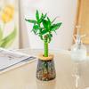 Desktop Flower Vase Hydroponic Planter with Lid, Glass-Like Clear Plant Propagation Station, Minimalist Style for Cuttings, Home Office Desk