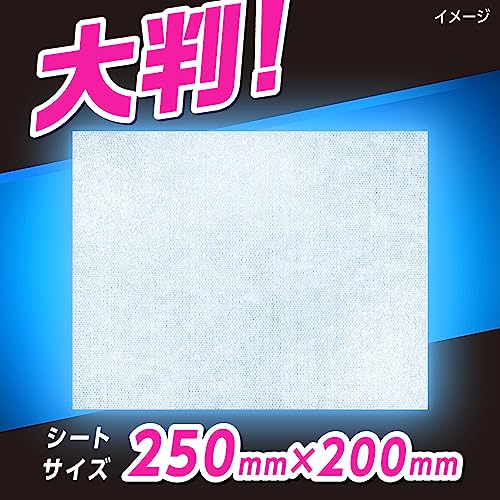 Men's Biore Body Sheet, Extremely Cool Type, Cool Ocean Scent, 28 Sheets x 3, Bonus Included, Antiperspirant Sheet, Sweat Wiping Sheet, Cool