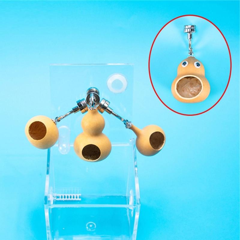 Spiders Hideaways with Magnetic Mounting for Jumping Spiders Ensures a Natural and Secure Living Space Shelter House