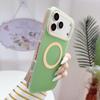 Vibrant Color Block Magnetic Case for iPhone 15 Pro/16 Pro Max/17 Pro