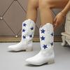 2025 New European and American Embroidered Pointed Mid Barrel Versatile Knight Boots Star Color Coarse Heel