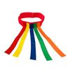 Catch Tail Game Belt Stretchable Colorful Interactive Tail Catching Training Equipment for Adults Kids Family
