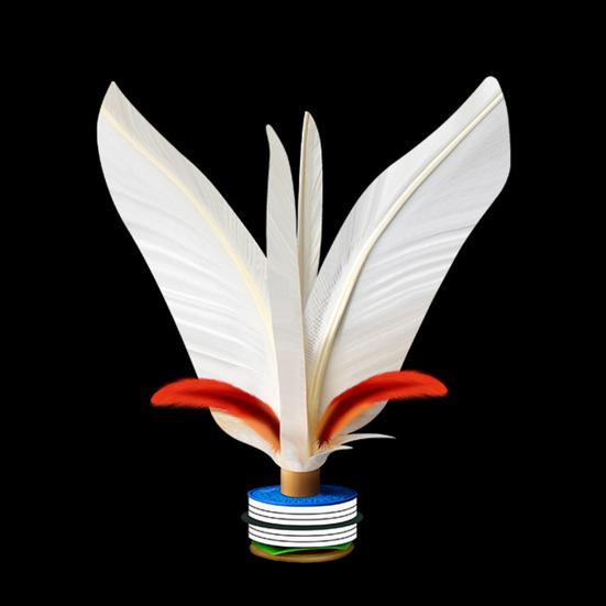 1/2/5 Pz Volani con Piume Leggeri Portatili Ispessiti Volani con Piume Colorate Sport all'Aperto con i Piedi