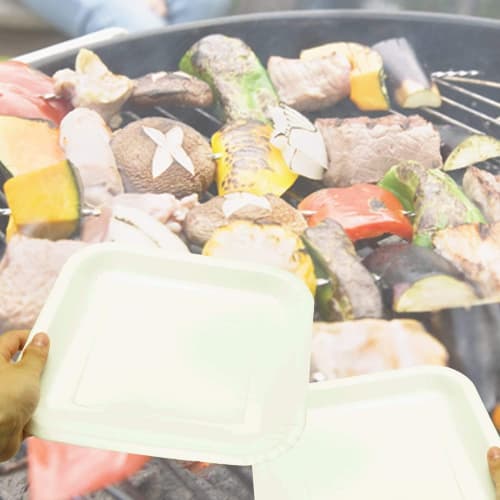 Strix Design Paper Plates, Square, 24-Piece Set, White, Approx. 9.8 X 9.8 X 0.6 Inches (23 X 23 X 1.7 Cm), Water-Resistant and Oil-Resistant, Disposab