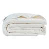 Luolai Kids Class A Washable 100% Tussah Silk Quilt with Cotton Cover