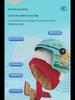 3C Certified Children's Helmet: Four Seasons, Winter Warm, Gray, Electric Motorcycle Safety for Boys and Girls