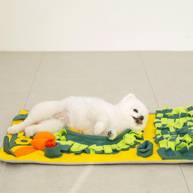 Hund Nasearbeit Große Decke mit Karottenfleck-Spielzeug 80x60