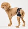AniSuppo Hip S Size for Small Dogs Made in Japan Dog Supplies Dog Support Hip Dysplasia Hip Support Dog Hip Hip Joint Hind Leg Restriction Abduction