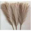 6 Pcs Faux Pampas Grass Small Fluffy Artificial Flowers Fake Flower for Home,Office,Bedroom,Table Decoration Corner (Without Vase Pot) (Brown)